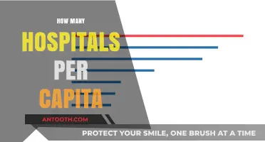 Global Hospital Density: Analyzing Healthcare Access Per Capita Worldwide