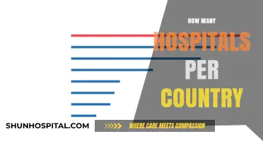 Global Healthcare Infrastructure: Exploring Hospital Density Across Nations