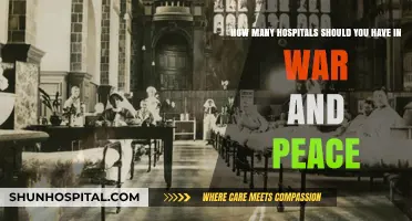 Balancing Healthcare Needs: Optimal Hospital Numbers in War and Peace
