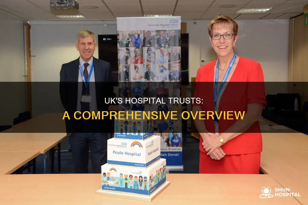 how many hospitals trusts in the uk