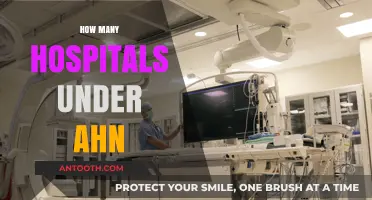 Exploring the Network: How Many Hospitals Are Under Ahn?