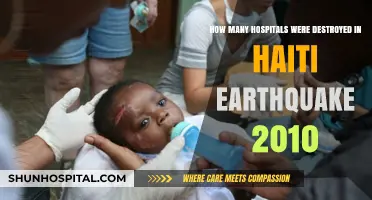 Haiti's 2010 Earthquake: Devastating Toll on Healthcare Infrastructure