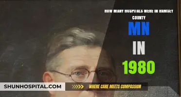 Ramsey County MN Healthcare History: Hospital Count in 1980