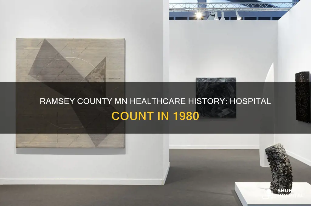 how many hospitals were in ramsey county mn in 1980