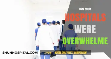 Overwhelmed Hospitals: Analyzing the Strain on Healthcare Systems During Crises