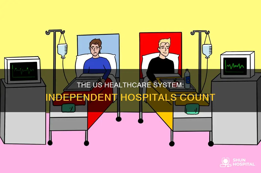how many indepedent hospital systems in us