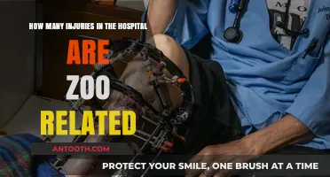 Unusual Hospital Injuries: Exploring the Impact of Zoo-Related Accidents