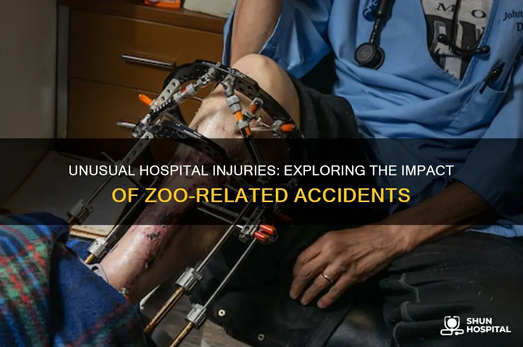 how many injuries in the hospital are zoo related