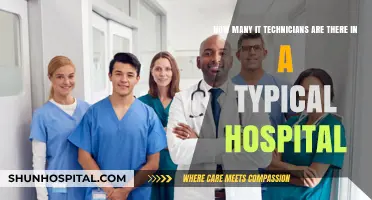 Exploring IT Staffing: How Many Technicians Support Hospital Operations?