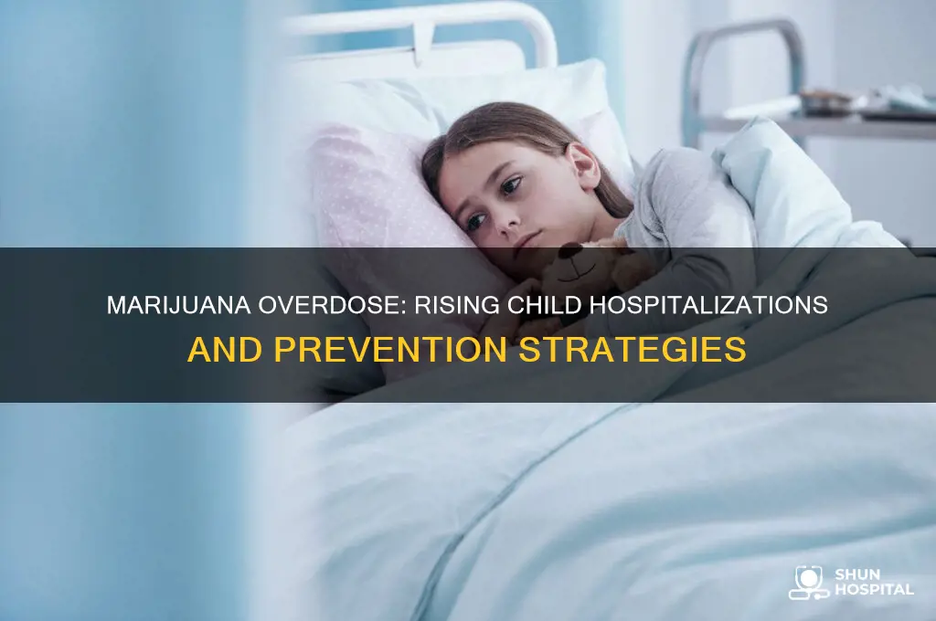 how many kids have been hospitalized from marijuanna over dose