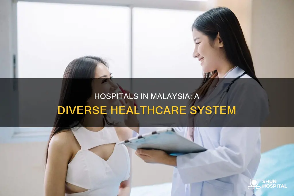 how many kinds of hospitals in malaysia