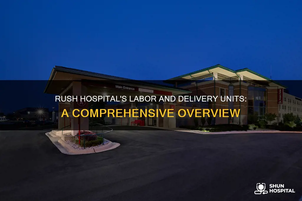 how many labor and delivery does rush hospital have