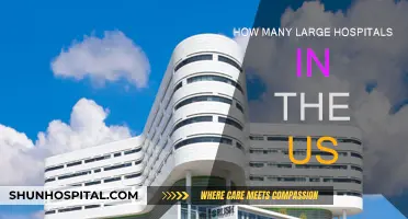 Large US Hospitals: How Many Are There?
