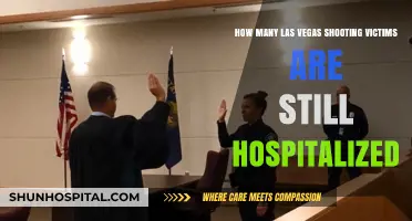 Las Vegas Shooting Survivors: Current Hospitalization Status and Recovery