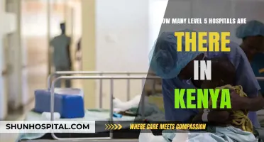 Exploring Kenya's Healthcare: The Count of Level 5 Hospitals Revealed