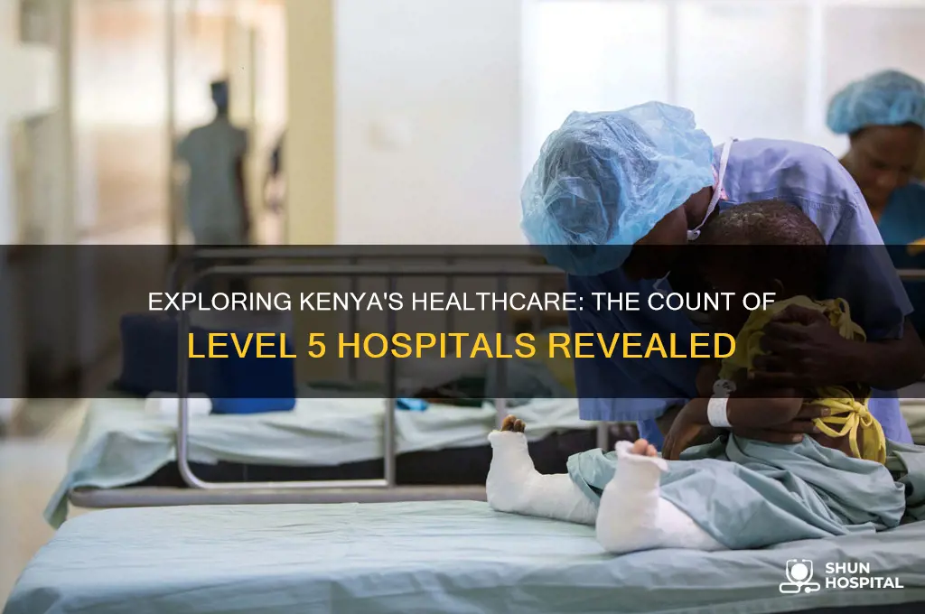 how many level 5 hospitals are there in kenya