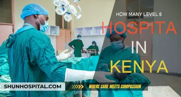 Level 6 Hospitals in Kenya: How Many Exist?