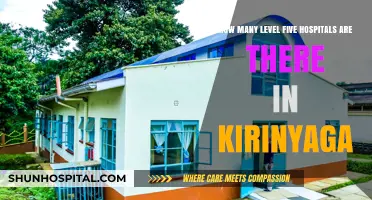 Exploring Kirinyaga's Healthcare: The Count of Level Five Hospitals