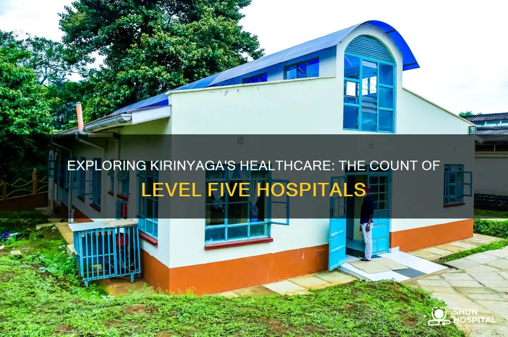 how many level five hospitals are there in kirinyaga