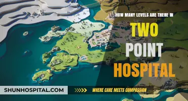 Exploring the Extensive Level Progression in Two Point Hospital