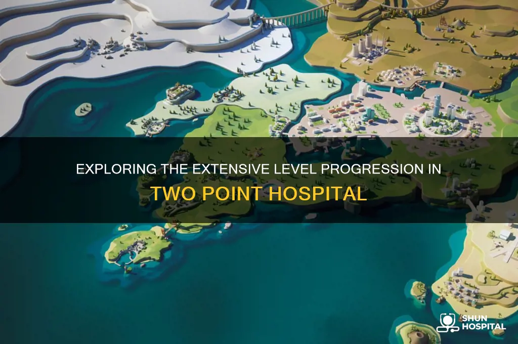 how many levels are there in two point hospital