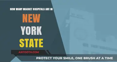 Exploring Magnet Hospitals in New York State: Current Count and Impact
