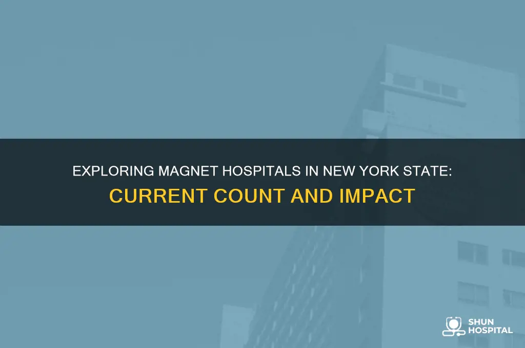 how many magnet hospitals are in new york state