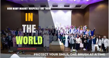 Global Magnet Hospitals: Counting Excellence in Nursing Worldwide