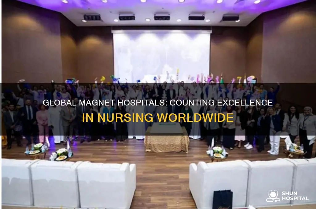 how many magnet hospitals are there in the world