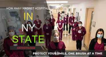 Magnet Hospitals in New York: A Comprehensive Overview