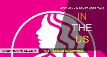Magnet Hospitals: Leading the US Healthcare System