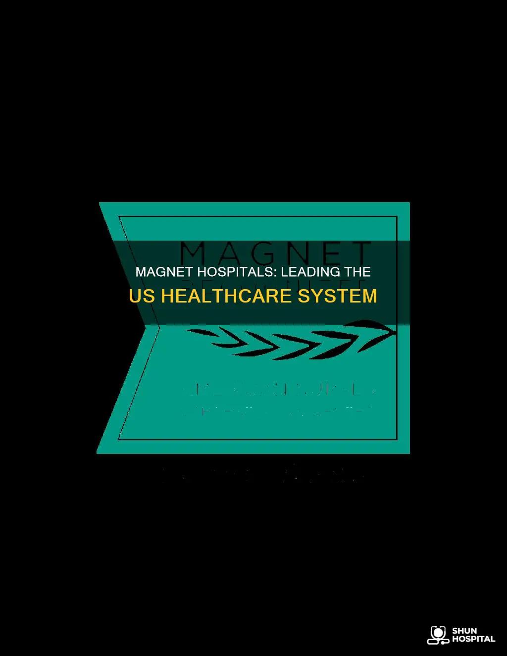 how many magnet hospitals in the us