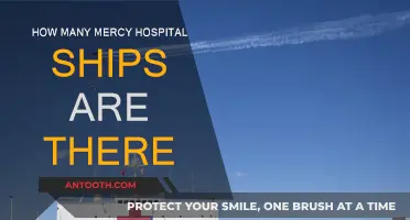 Mercy Ships: A Global Hospital Fleet