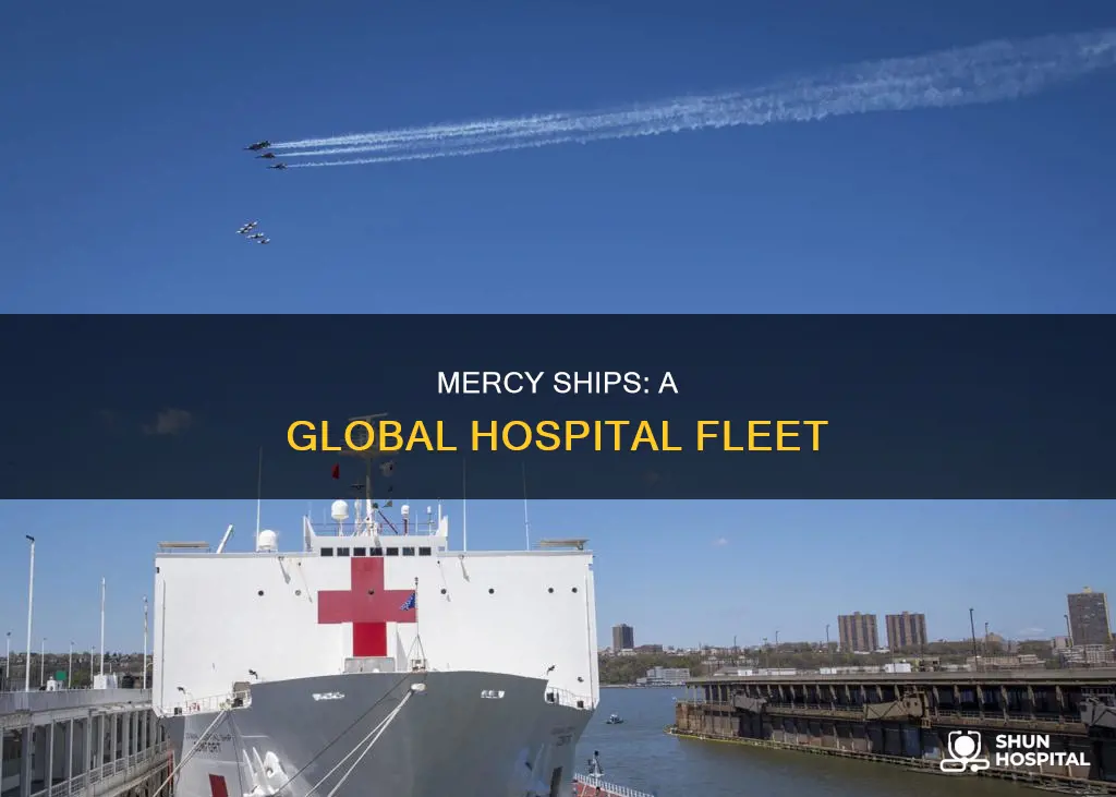 how many mercy hospital ships are there