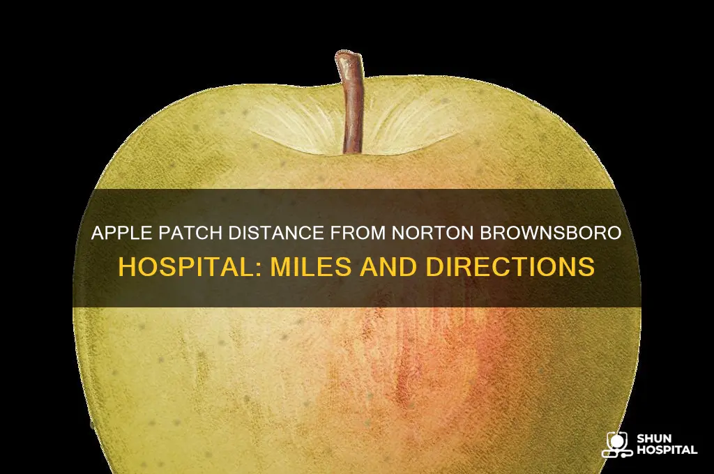how many miles apple patch from norton brownsboro hospital