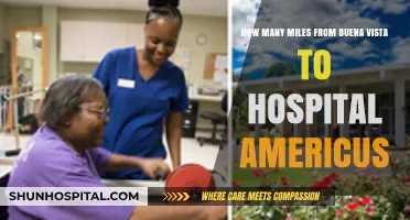 Distance from Buena Vista to Hospital Americus: A Mileage Guide