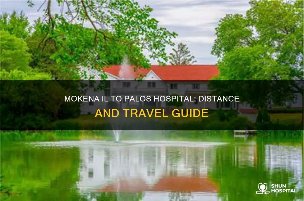 how many miles from mokena il to palos hospital