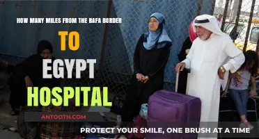 Distance from Rafah Border to Egypt Hospital: A Travel Guide