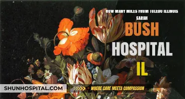 Distance from Toledo, IL to Sarah Bush Hospital: A Quick Guide