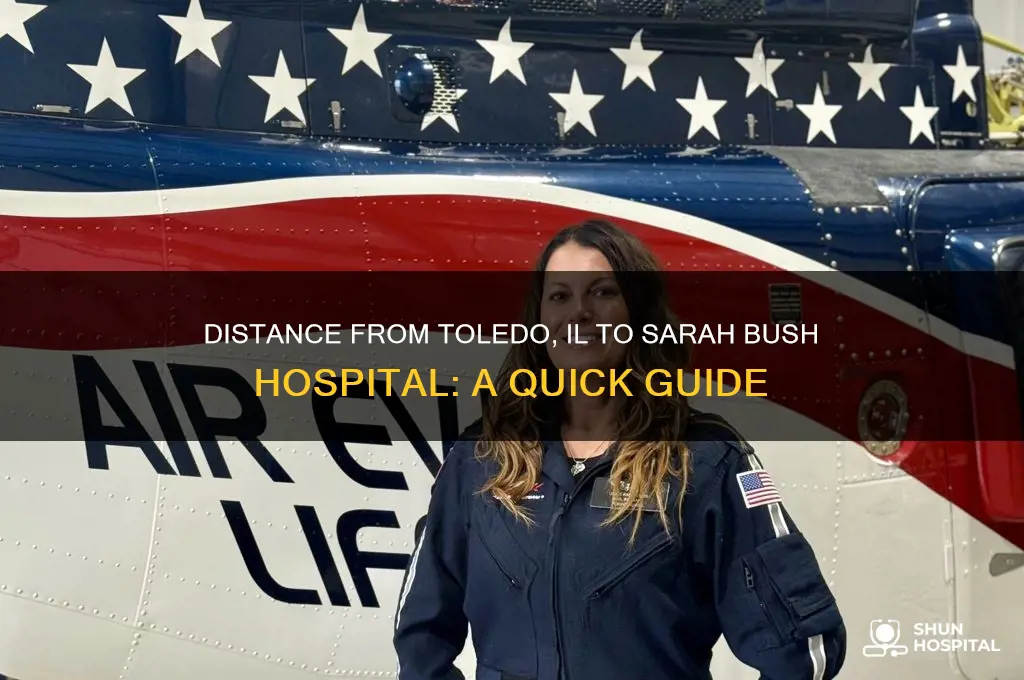 how many miles from toledo illinois sarah bush hospital il