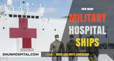 Exploring the Global Fleet of Military Hospital Ships and Their Roles