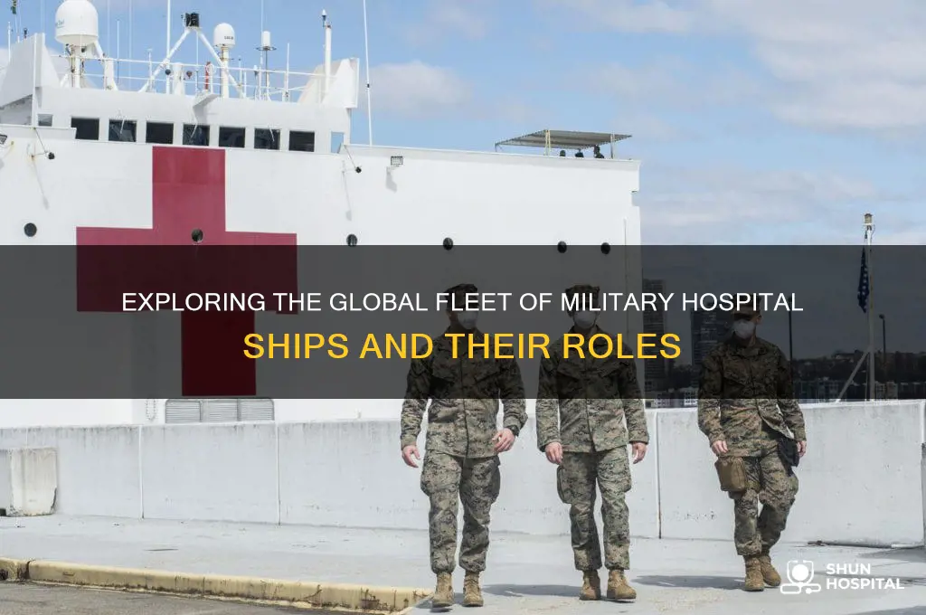 how many military hospital ships