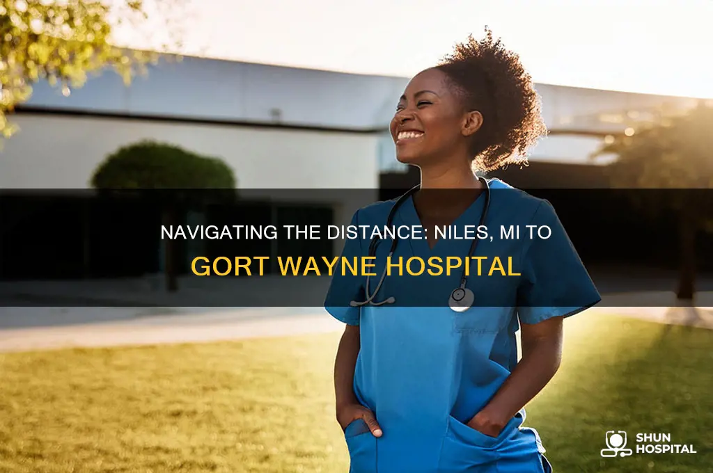 how many moles to gort wayne hospital from niles mi