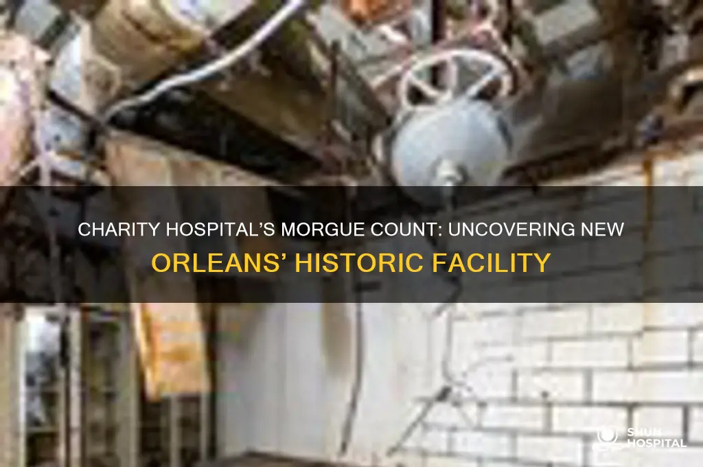 how many morgues did charity hospital in new orleans have