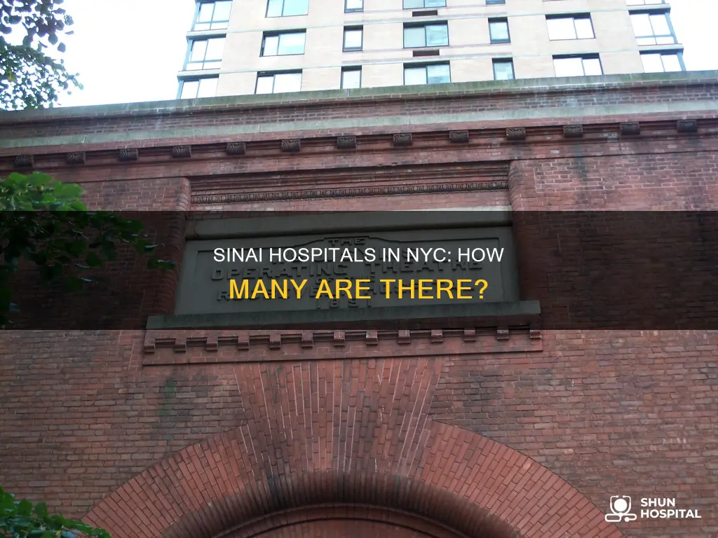 how many mt sinai hospitals in nyc