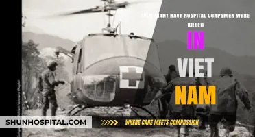 Honoring Fallen Navy Hospital Corpsmen: Vietnam War Fatalities Revealed