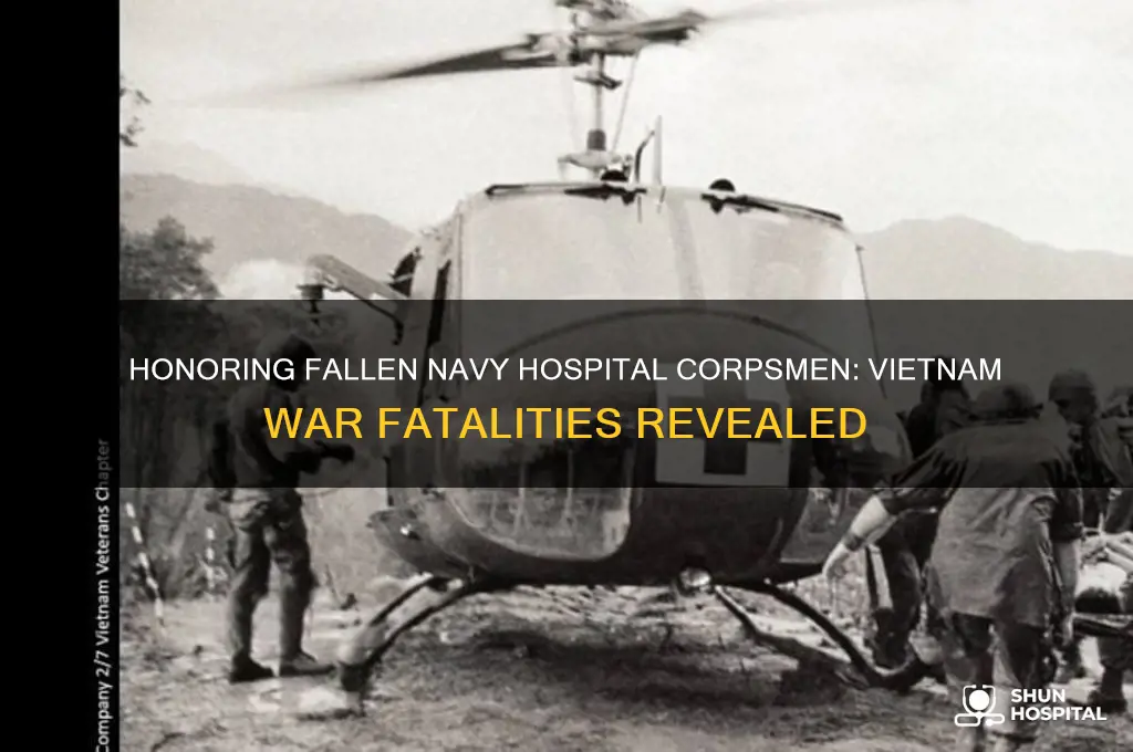 how many navy hospital corpsmen were killed in viet nam