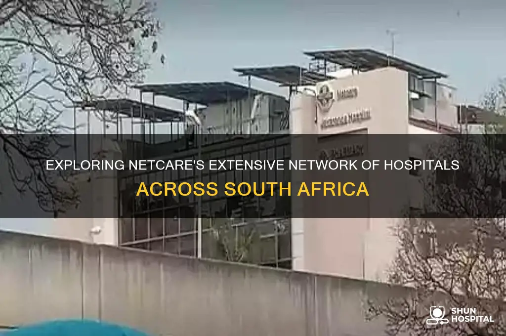 how many netcare hospitals are there in south africa