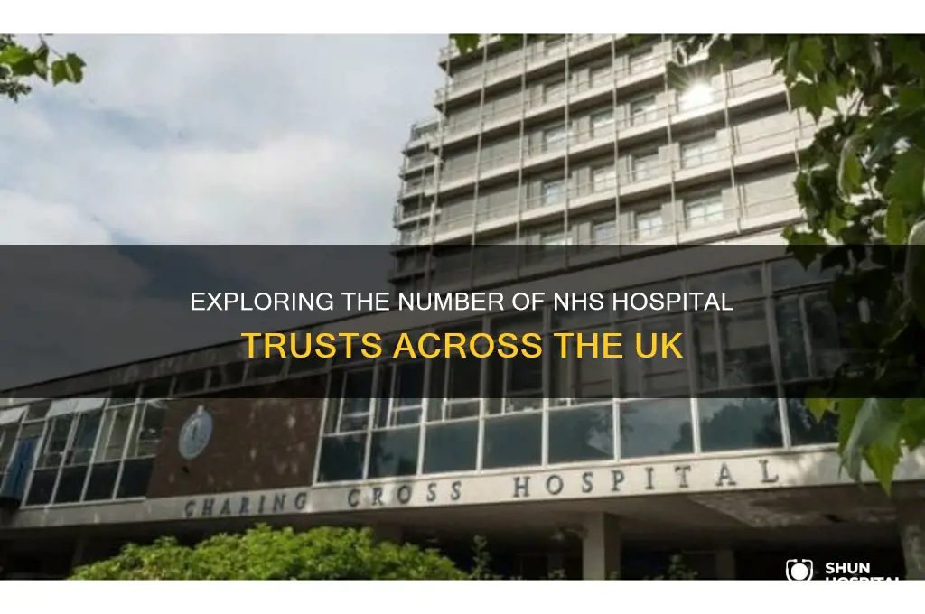how many nhs hospital trusts are there in the uk