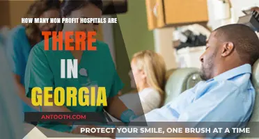 Exploring Georgia's Non-Profit Hospital Landscape: Numbers and Insights